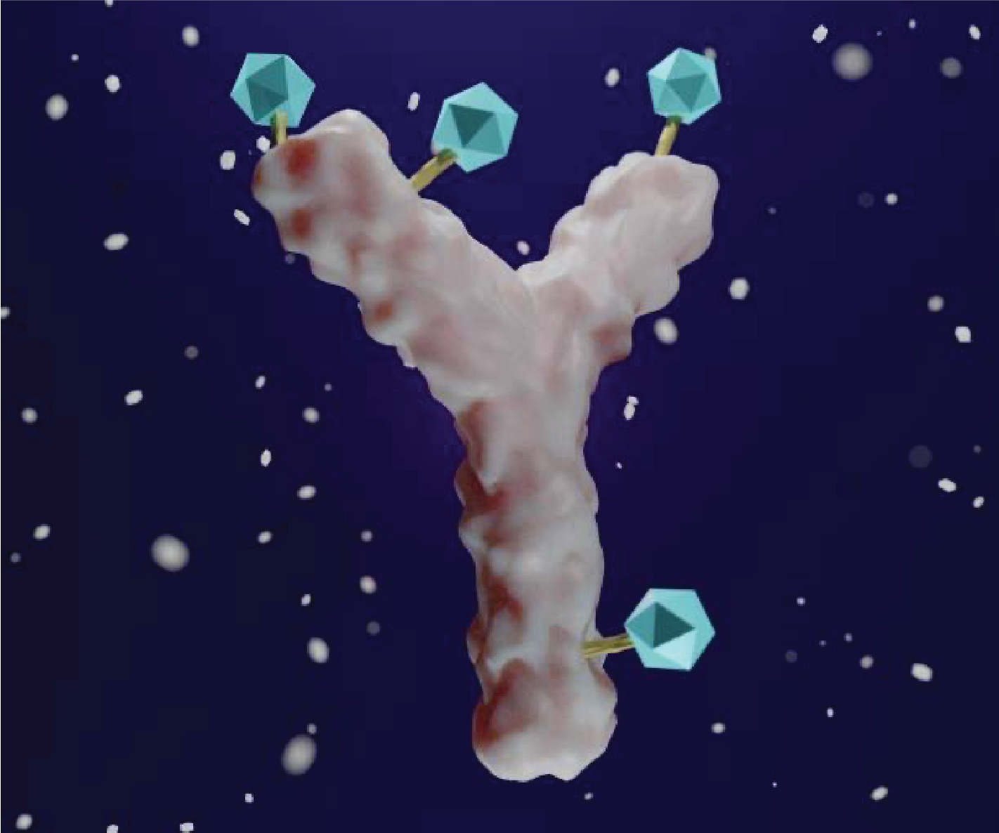 ClearideBio Therapeutics launched as preclinical ADC company with pre-seed investment from LOTTE Holdings